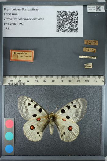 Media type: image;   Entomology 175158